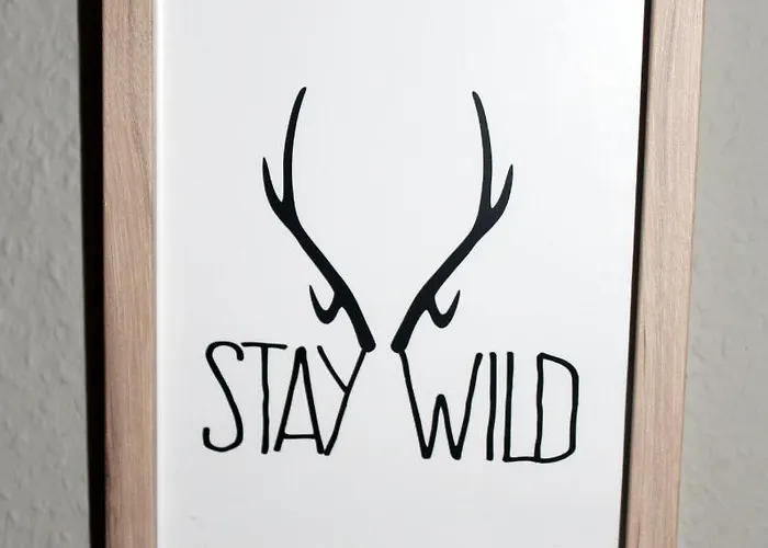 Am Stadtpark Appartamento